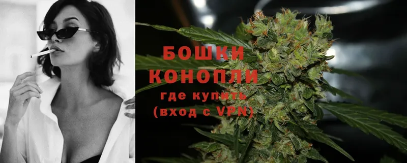 где найти   Боготол  Марихуана White Widow 